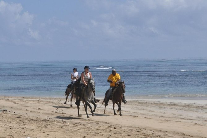 Horseback Riding Tour Adventure on the Beach - What the $99 price really covers