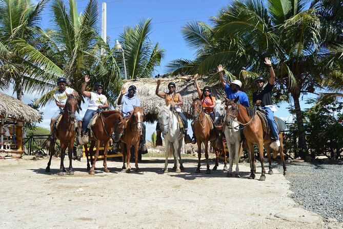 Horseback Riding Tour on the Beaches of Punta Cana - What the horses and guides add