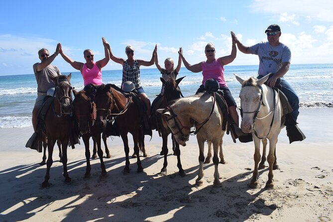 Horseback Riding Tour on the Beaches of Punta Cana - Group size, comfort, and riding ability