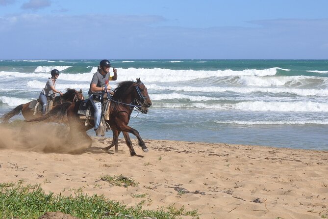 Horseback Riding Tour on the Beaches of Punta Cana - The ride from countryside trails to the coast