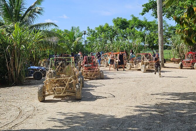 Horses, Buggy, and plantation in Chocaci Ranch - Key points to know before booking