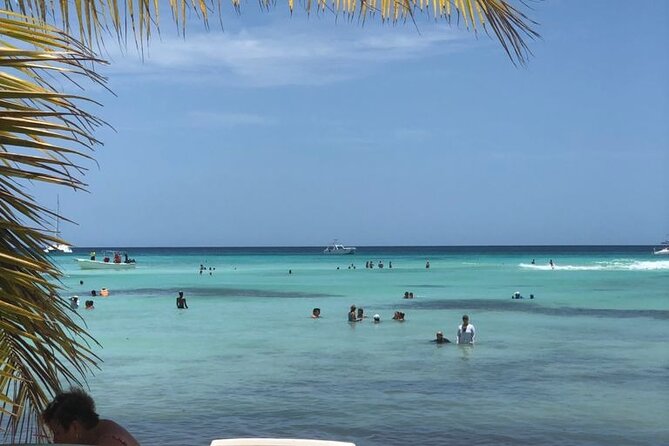 Iberostar Grand Bavaro - Round Trip Shuttle - Punta Cana Airport - Leaving Punta Cana Airport without the taxi scramble