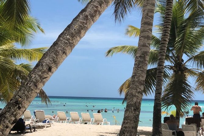 Iberostar Grand Bavaro - Round Trip Shuttle - Punta Cana Airport - What private transport means for your group
