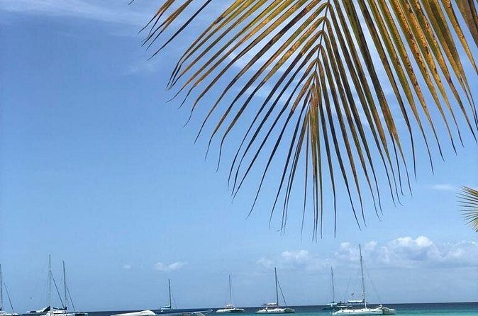 Iberostar Grand Bavaro - Round Trip Shuttle - Punta Cana Airport - How the service performed on time