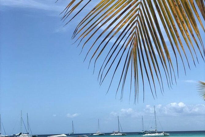 Iberostar Grand Bavaro - Round Trip Shuttle - Punta Cana Airport - Booking, cancellation, and basic access