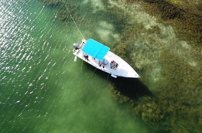 Inshore & Fly Fishing Punta Cana Private charter at Marina Cap Cana - Booking details that deserve a quick check