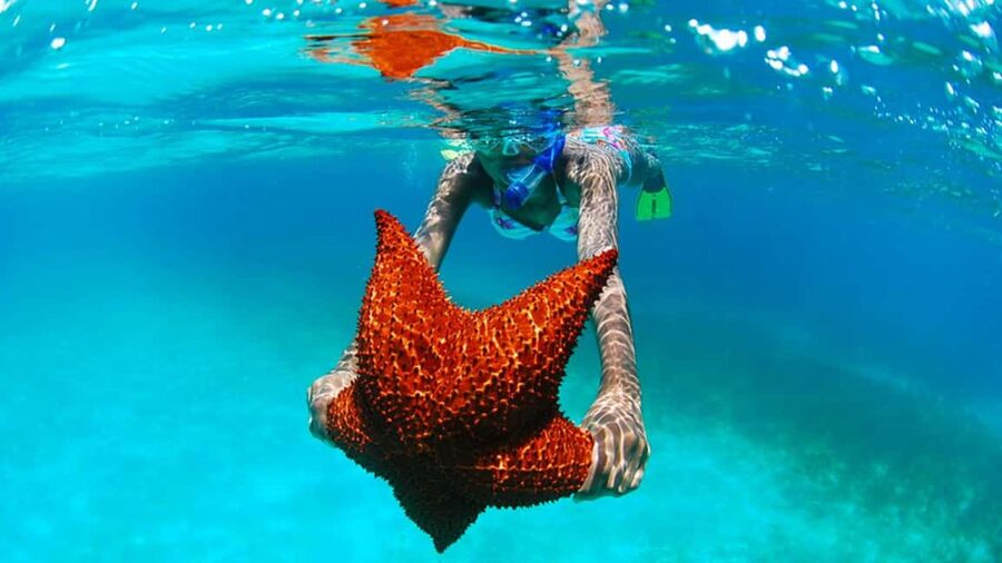isla saona día completo - The Natural Swimming Pool stop