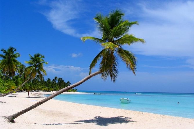 Isla Saona El Paraiso del Caribe - Key points at a glance
