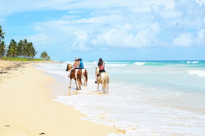 Jungle and Beach Horse Ridding round trip transportatin. - A short Punta Cana outing with several moving parts