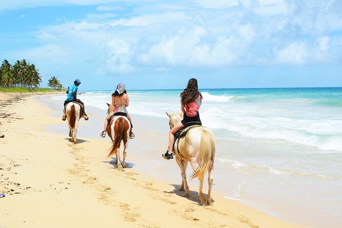 Jungle and Beach Horse Ridding round trip transportatin. - Multilingual guides and a group of up to 22