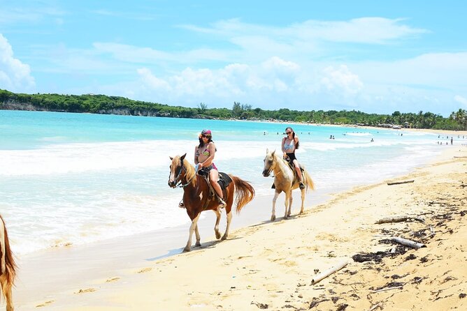 Jungle and Beach Horse Ridding round trip transportatin. - What the $51 price really covers