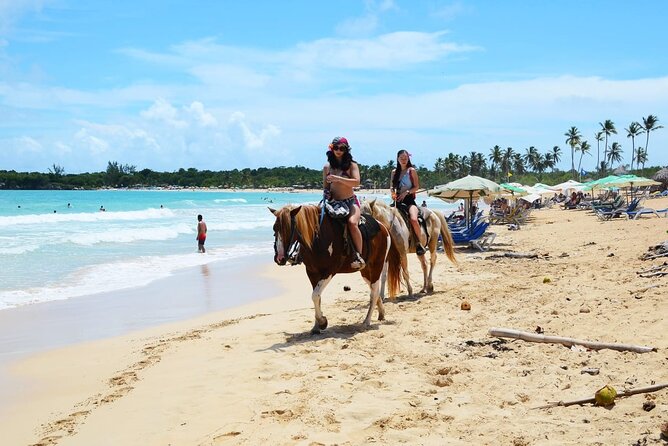 Jungle and Beach Horse Ridding round trip transportatin. - Coffee, cacao, and cigar making between the ride and beach