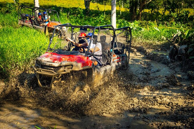 Jungle Buggies and Monkeyland from Punta Cana - Key points to know before you book