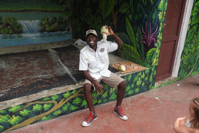 Jungle Buggies and Monkeyland from Punta Cana - Casa del Coco and the Dominican product stops