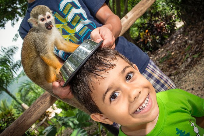 Jungle Buggies and Monkeyland from Punta Cana - Lunch and the rhythm of the day