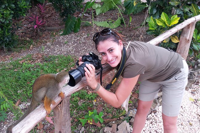 Jungle Buggies and Monkeyland from Punta Cana - Is the $179 price good value?