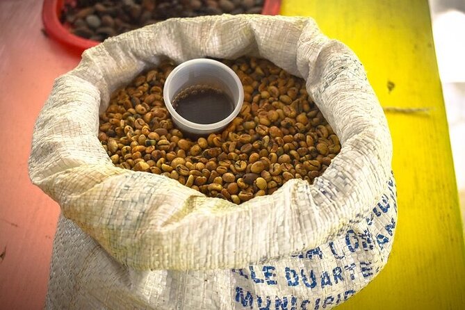 Jungle Buggies + Zilplining + Horseback Ride + Countryside + Macao Beach - Dominican lunch, fruit, drinks, and a cigar tasting