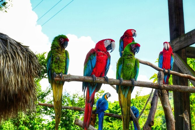 La Hacienda Park Tour - A full mountain day for one $99 ticket