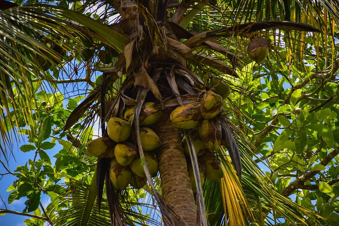 Let's do hiking in Punta Cana - Views that reward the uphill work