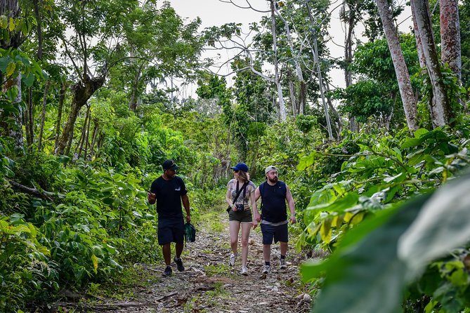 Let's do hiking in Punta Cana - Food, drinks, and what to pack
