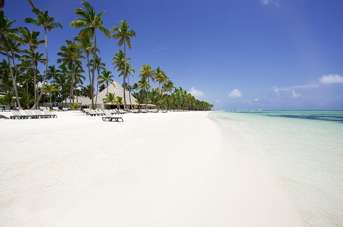 Live Aqua Beach Resort Punta Cana - Round Trip Shuttle - Punta Cana Airport - Timing, delays, and traffic