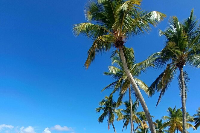 Los Haitises National Park, Montaña Redonda & Bacardi Island - Island time, swimming, and snorkeling