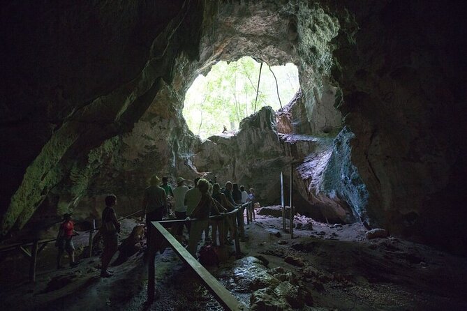 LOS HAITISES National Park - Punta cana - Entering the caves and seeing Taino art