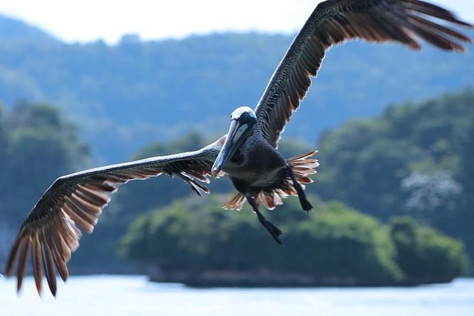 Los Haitises National Park Tour from Punta Cana Montana Redonda and Cano Hondo - Is $120 a fair price?