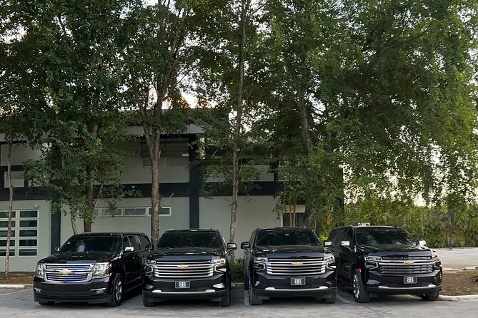Luxe Black Car Transfer – Cap Cana, Bavaro & Punta Cana Airport - Who will get the most from this service