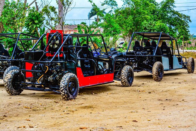 Magic Cave and Macau Beach Buggy Adventure from Punta Cana - Macao Beach gives the day room to breathe