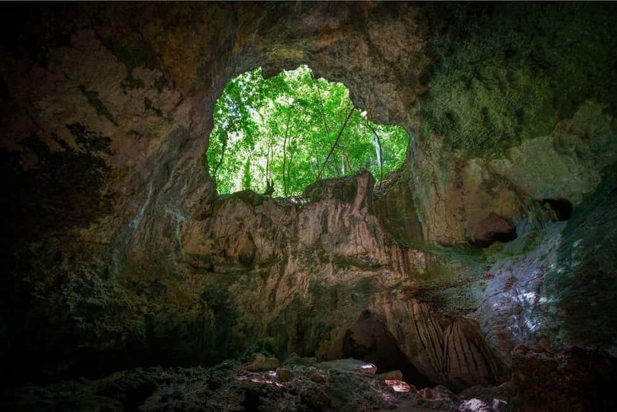 Mangroves, Mogotes and Mountains from Punta Cana - Who should book this tour