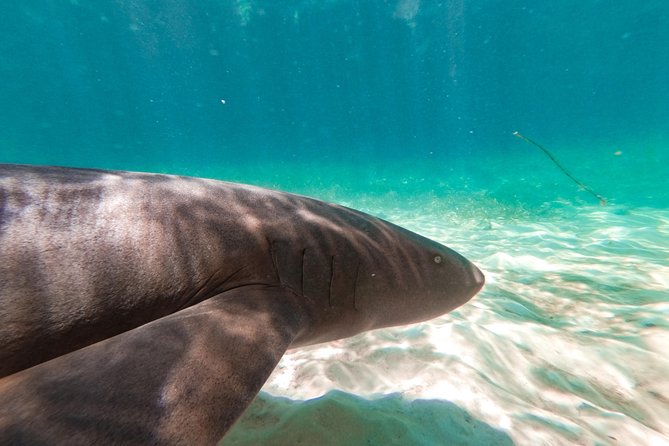 Marinarium Snorkeling Cruise from Punta Cana - Boat atmosphere and group size