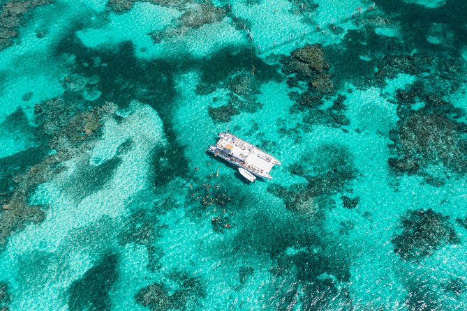 Marinarium Snorkeling Cruise from Punta Cana - Who will enjoy this outing most
