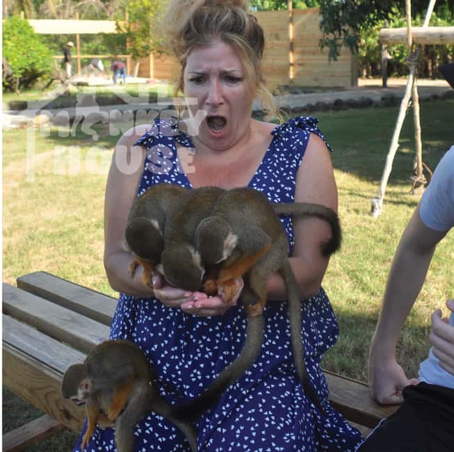 Monkey House VIP – An exclusive experience in Punta Cana - Meeting four types of monkeys