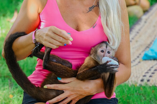 Monkey House VIP Experience with 4 species of monkeys, Punta Cana - Key points to know before you go