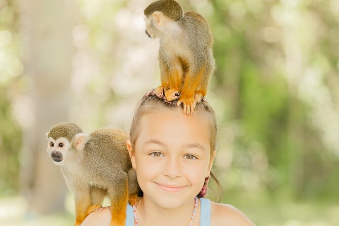 Monkey House VIP Experience with 4 species of monkeys, Punta Cana - Four monkey species, not just a quick photo stop