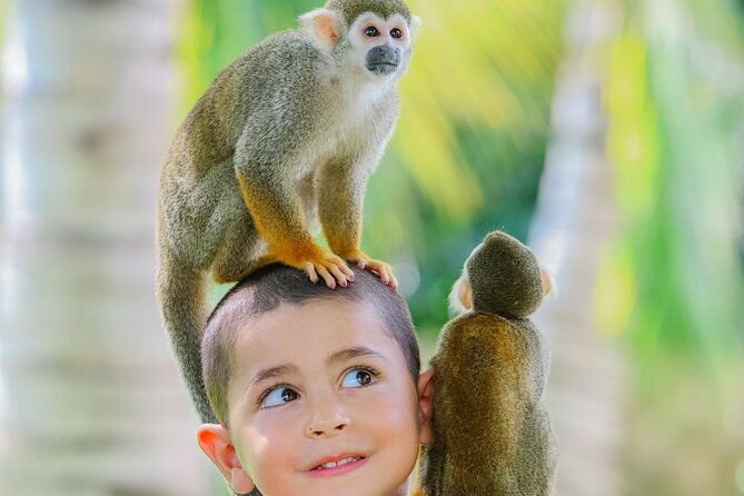 Monkey House VIP Experience with 4 species of monkeys, Punta Cana - Staff, teaching, and the feel of the visit