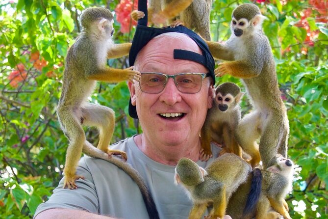 Monkey House VIP Experience with 4 species of monkeys, Punta Cana - What happens during the two-and-a-half-hour visit