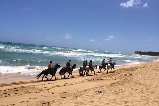 Montaña Redonda & Horseback Riding 2-in-1 Tour from Punta Cana - Who will enjoy this tour most