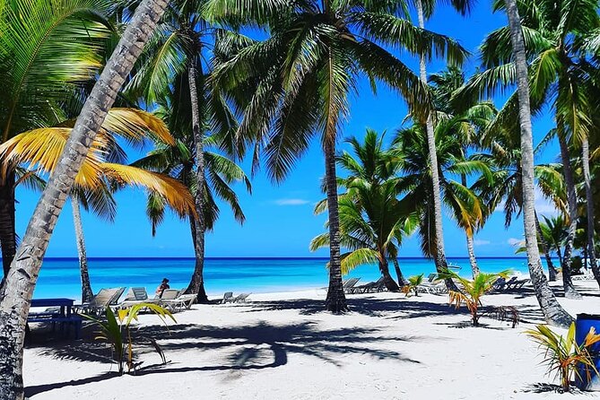 Ocean El Faro Resort - Round Trip Shuttle - Punta Cana Airport - What the private format is worth at $133.34