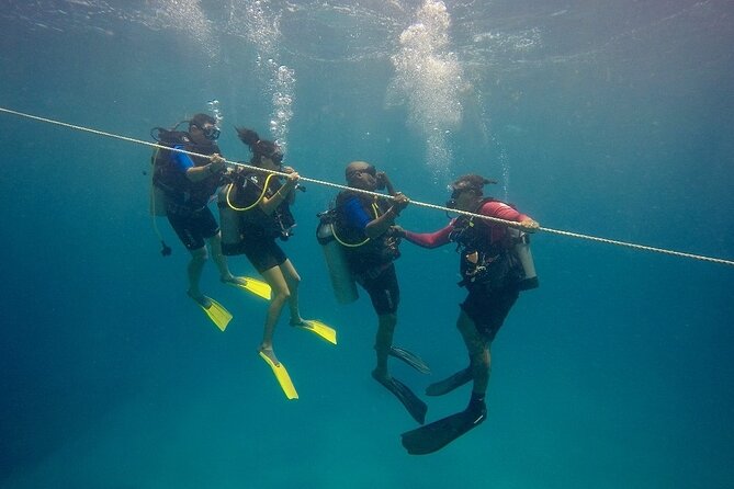 Open Water Diver - Bávaro - Key points to know before booking