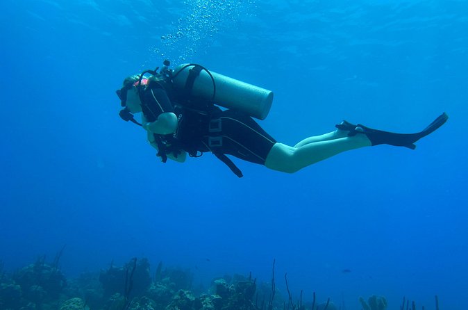Open Water Diver - Bávaro - What instruction may be like with Pedro or Alejandro