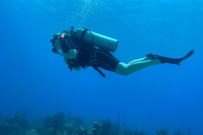 Open Water Diver - Bávaro - Who will get the most from this course