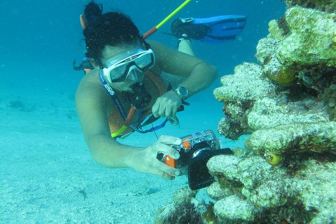 PACKAGE DEAL Catamaran- Snorkeling - Hooka Diving - Parasailing - Is $140 a fair price?