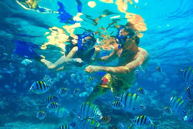 Party Boat Catamaran with Snorkeling from Punta Cana - The dolphin stop is a glimpse, not a dolphin encounter