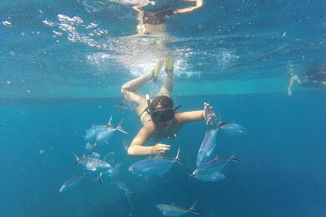 Party boat in Catamaran with Open Bar Only Adults + Snorkeling - Practical advice for a smoother afternoon