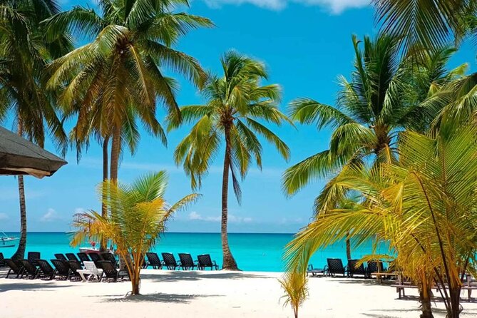 Perfect Day at Saona Island by Speedboat - Completely Private - Key points at a glance