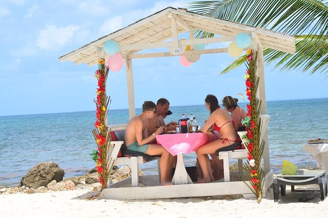 Perfect Day at Saona Island by Speedboat - Completely Private - Turtle Lagoon, Starfish Bay, and Saona’s wildlife
