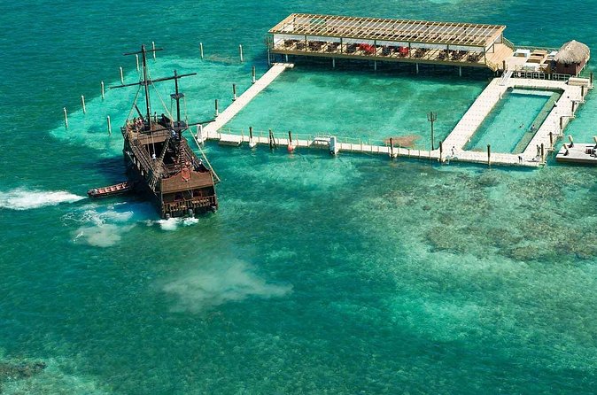 Pirates of the Caribbean Cruise- Snorkel, Sharks & Stingrays - Snorkeling over coral reef