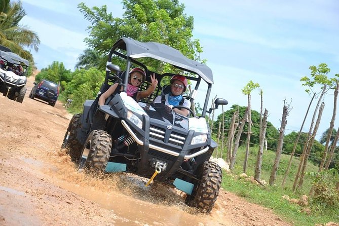 Platinum Buggy Adventure - Automatic Buggies Keep the Driving Simple
